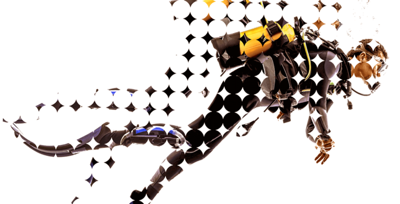 Bennelong-banner-diver-S