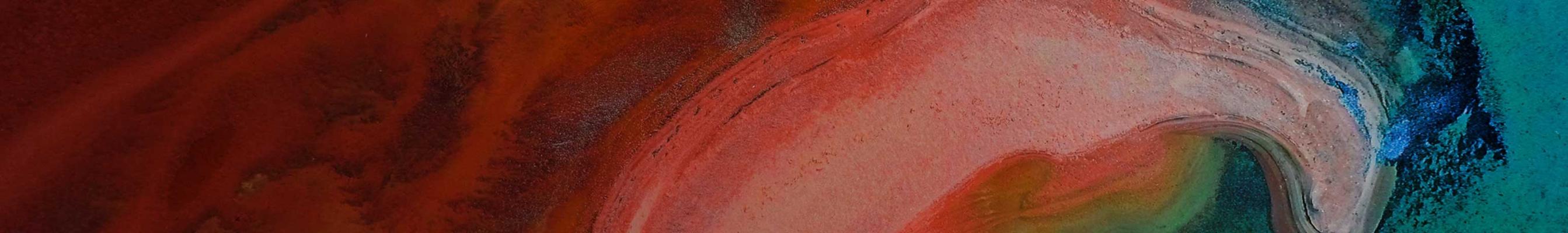 bennelong_flexible-content-banner 1