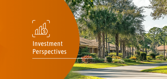 Investment Perspectives: Rising the silver tsunami