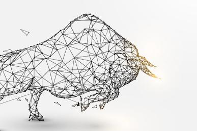 Bull