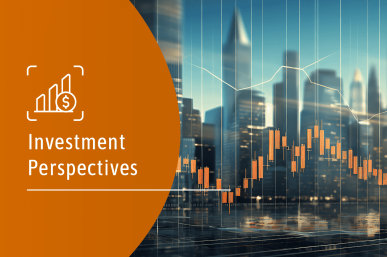 Investment Perspectives_2024 outlook