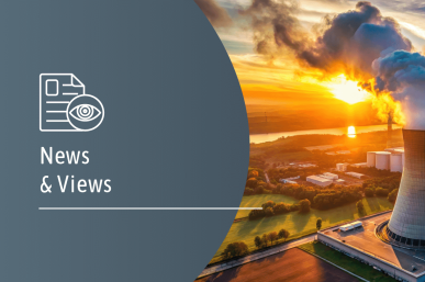 4D news And Views: Resurgence of Nuclear Energy