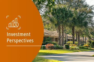 Investment Perspectives: Rising the silver tsunami